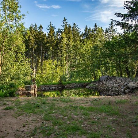 Arktik Lesni Mlyn Lägenhet Novy Rychnov Exteriör bild