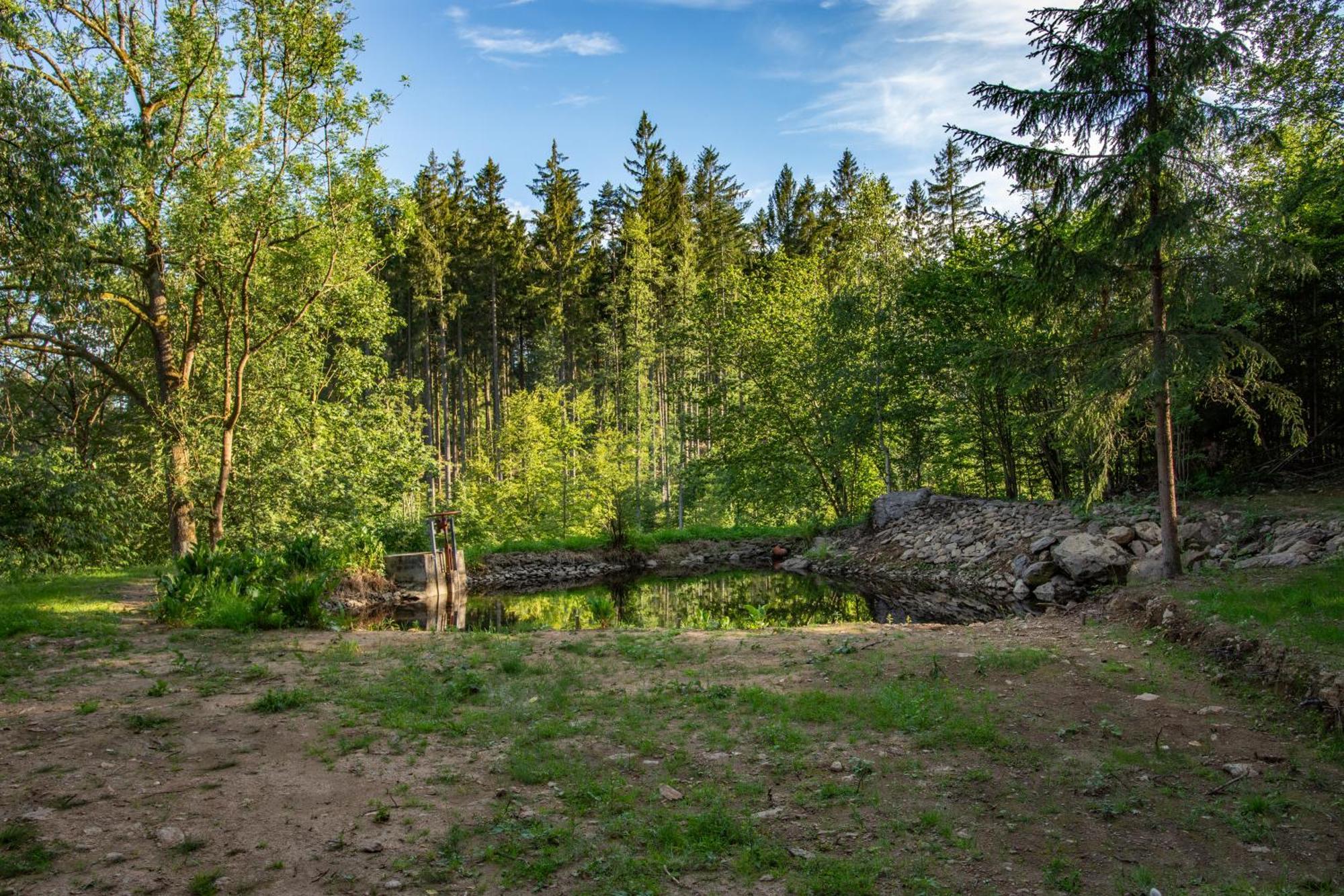 Arktik Lesni Mlyn Lägenhet Novy Rychnov Exteriör bild